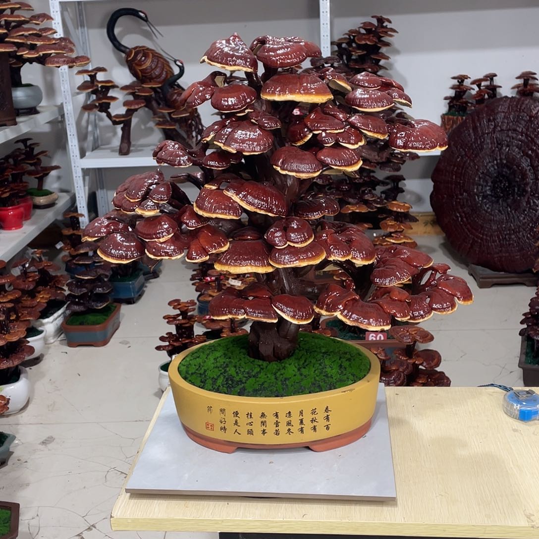 无花朵8888888888888