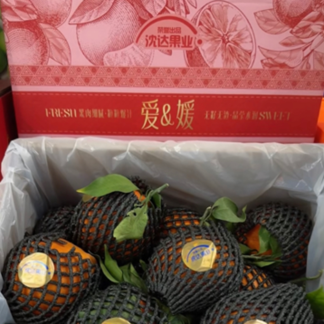 爱媛果冻橙 高端礼盒