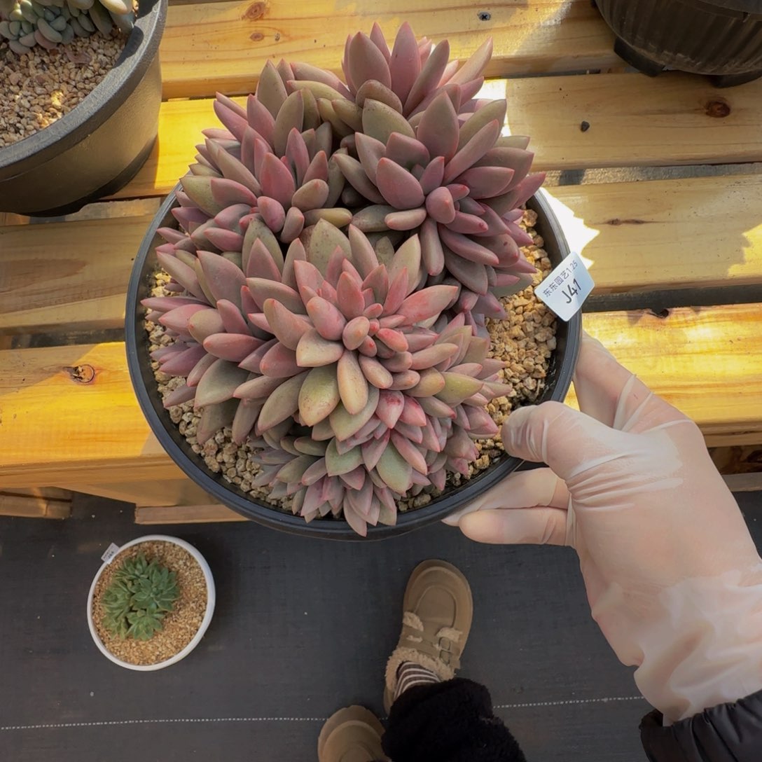 j j j j j j j j j j 41