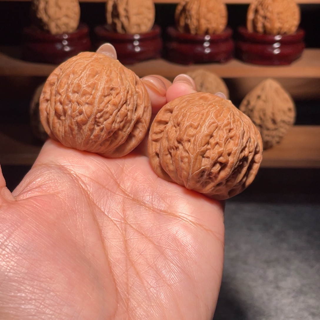 毕业对牙歪铁锤全品40