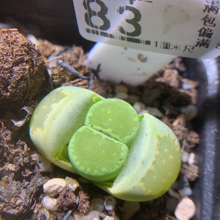 开播福利多多34.83