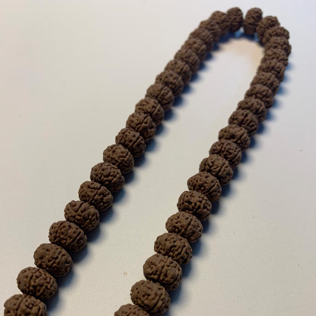 金刚菩提飞碟文玩树王