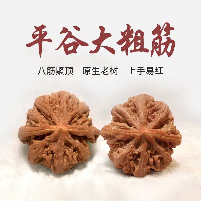 （新果头货）平谷老树红皮山地果（大粗筋）