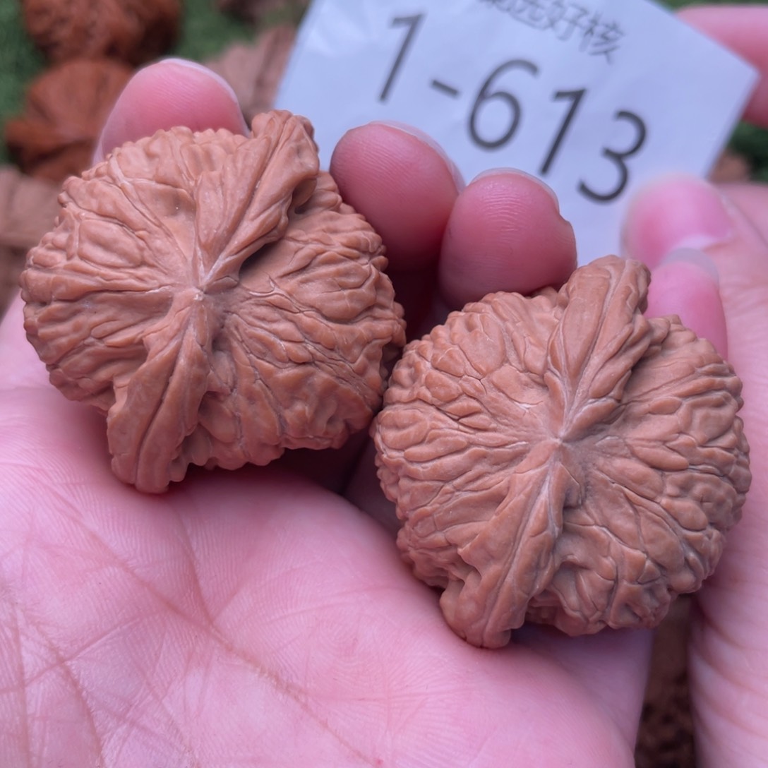 文玩核桃把件精配球白42