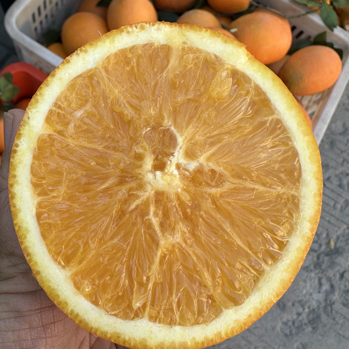 赣南脐橙【8斤】河南省