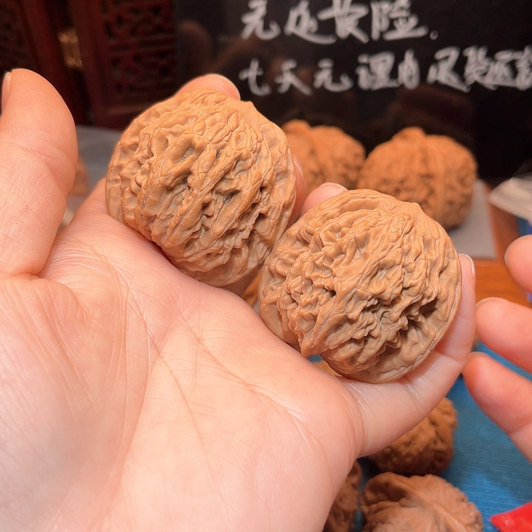 42粗筋虎头，粗筋厚棱……