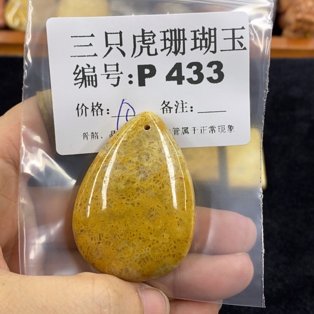 硅化珊瑚（珊瑚玉）1未镶嵌ℳ**