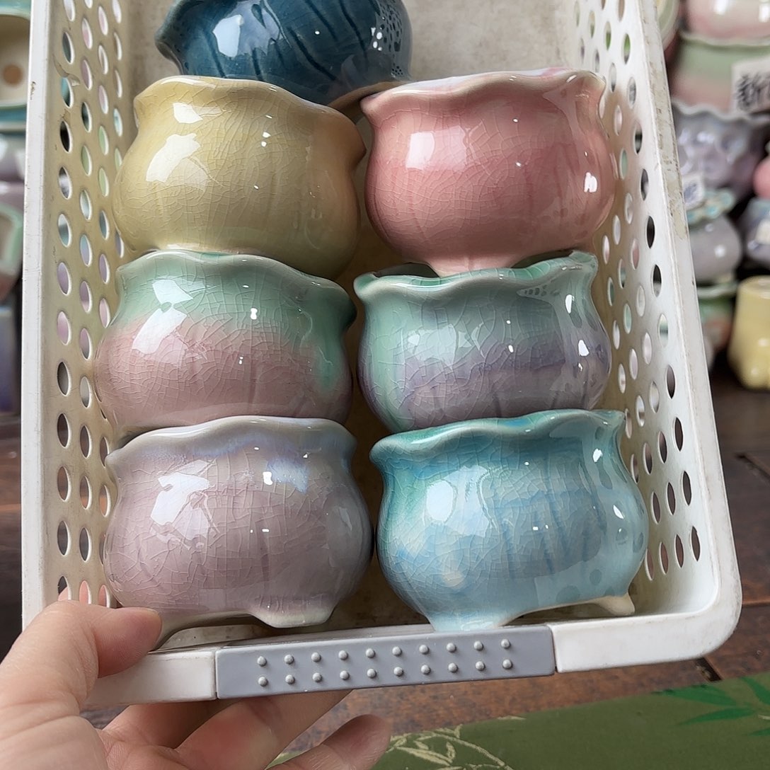 量货/5..5口高5.2深浅搭配发6