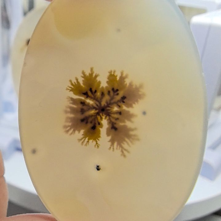 非金属时尚饰品16