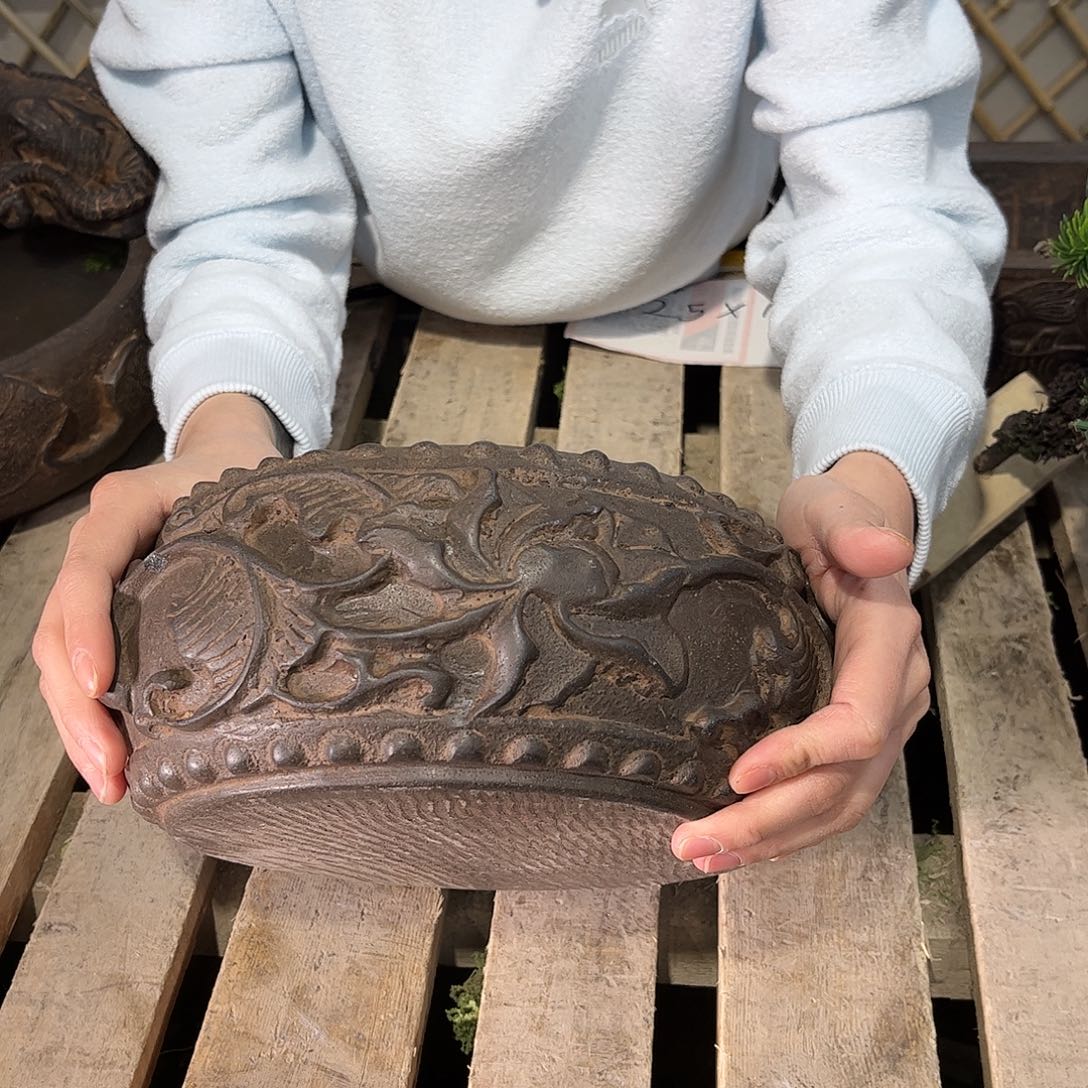 复合盆景艺术的设计师们B1-004