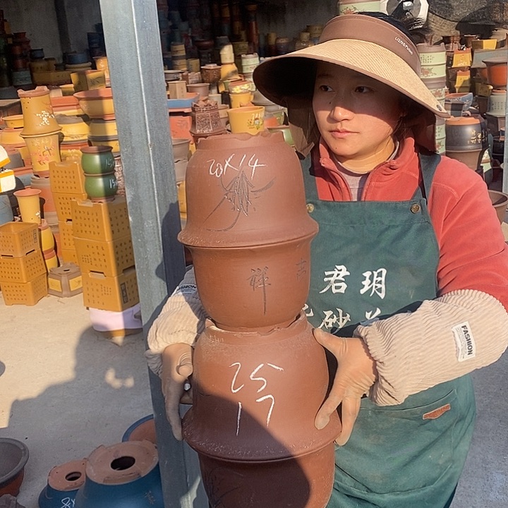 紫砂花盆盆栽花卉苗木种植