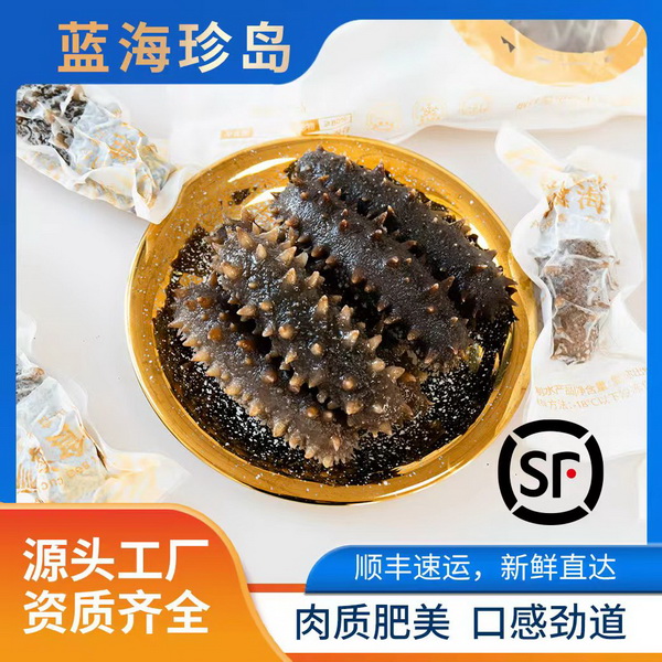 蓝海珍岛即鲜海参 肉质肥美口感劲道500G*2一头12-13cm  