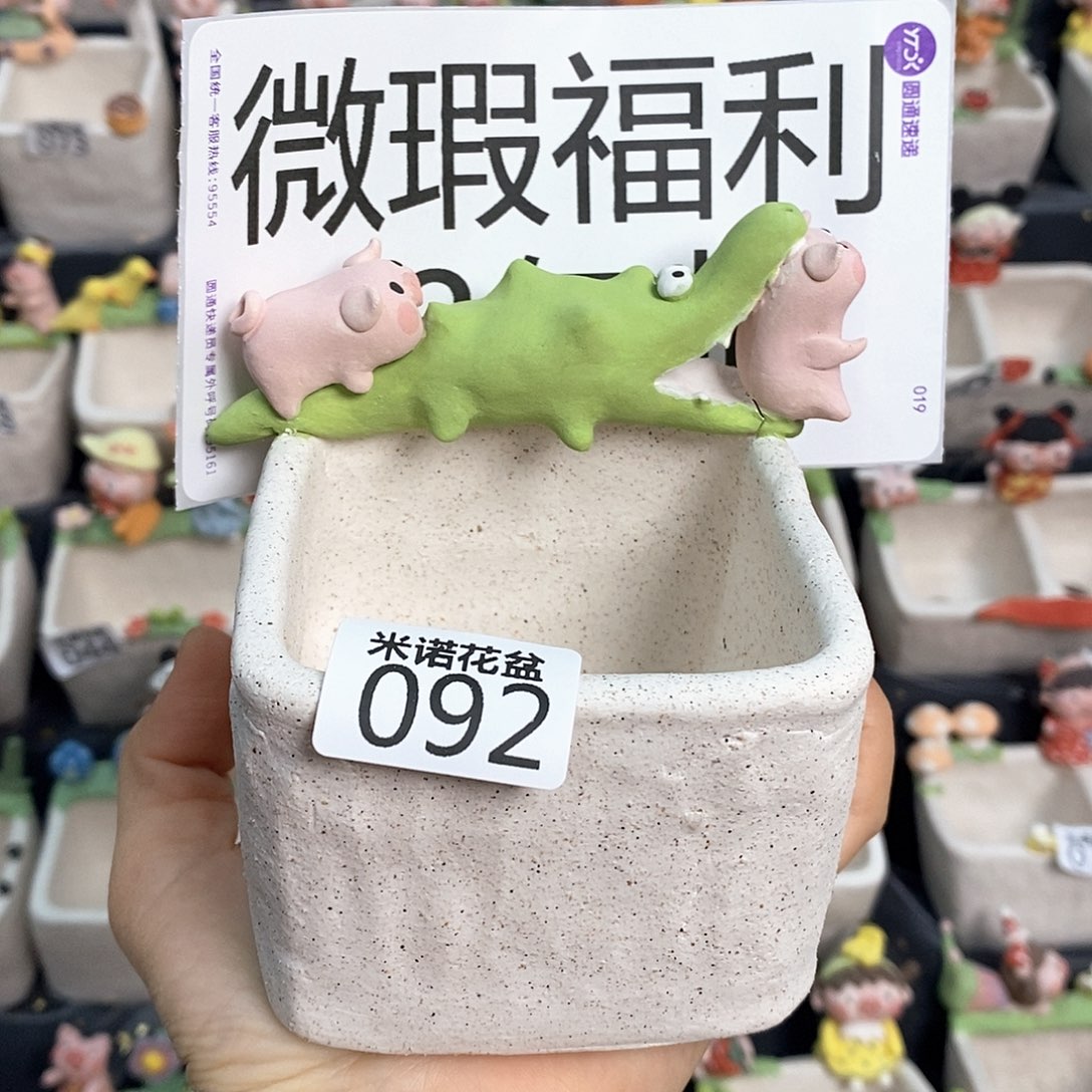 米诺多肉花盆092