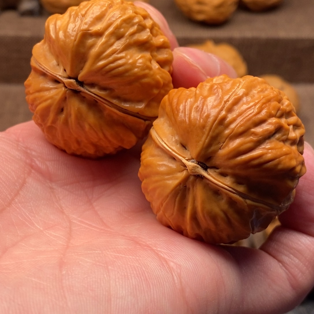 文玩核桃把件刚*铁核桃