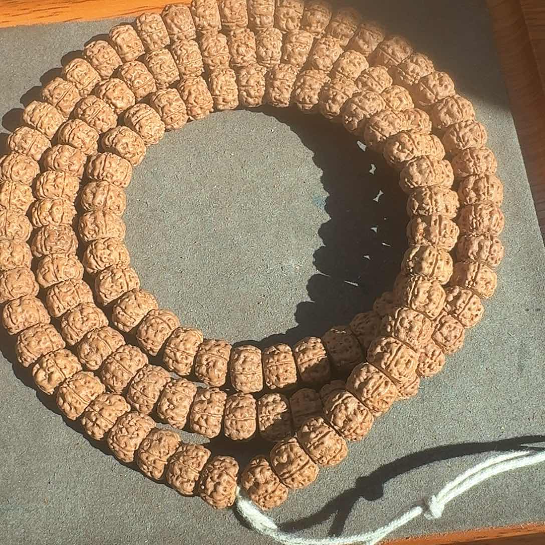 金刚菩提手串藏切108盘龙11.5+