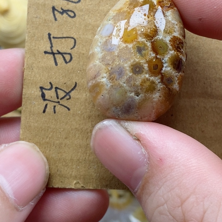 颈饰未镶嵌硅化珊瑚（珊瑚玉）有瑕