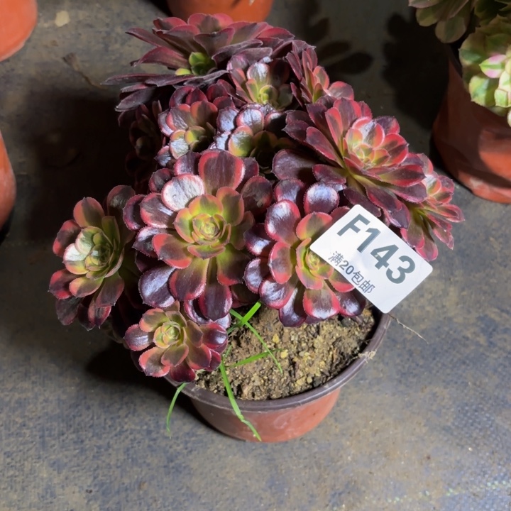 瑞妈，，，。。。143水果糖