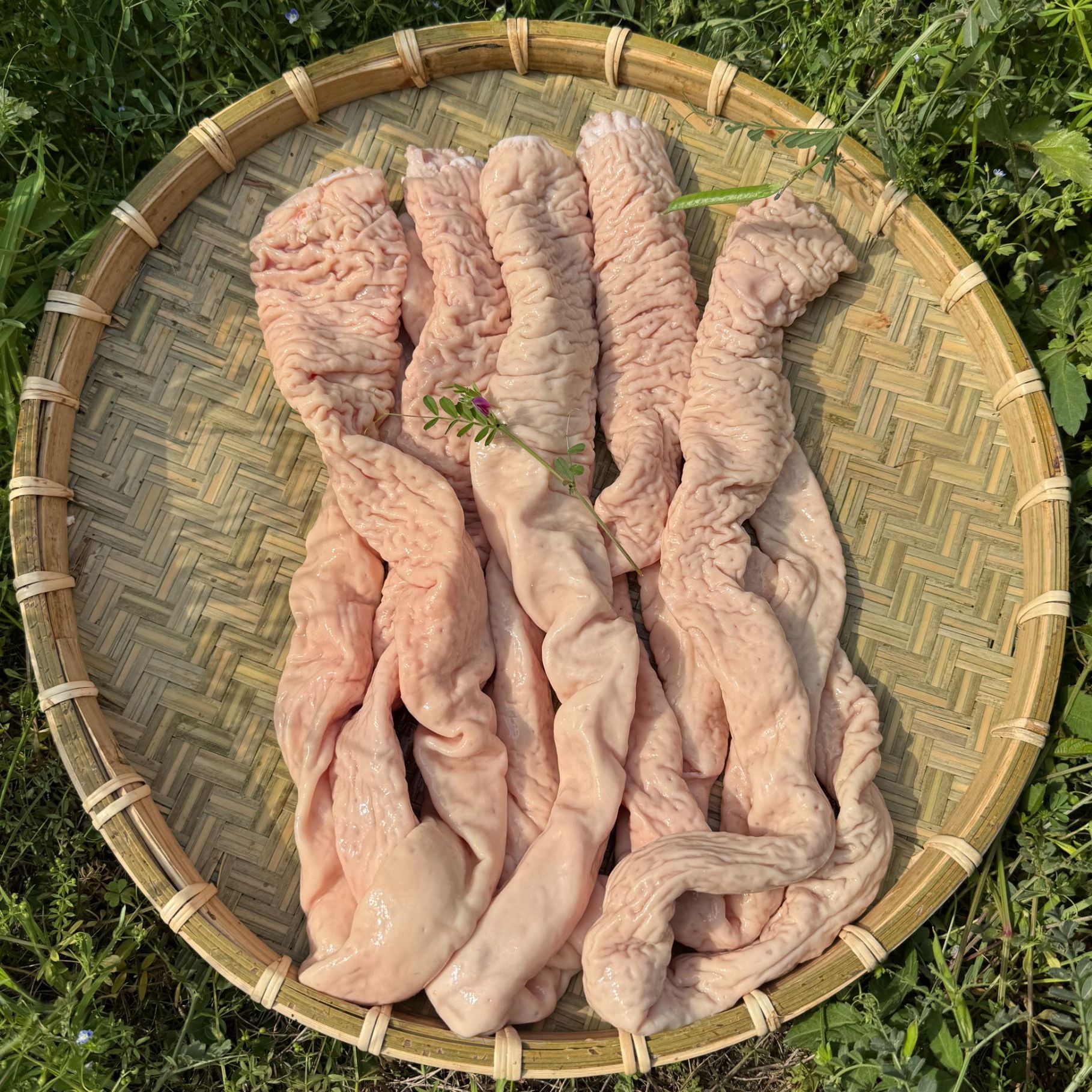 【大肠头去油90%】猪猪侠肉的铺干净少油肉厚大肠头3斤装猪肥肠大肠