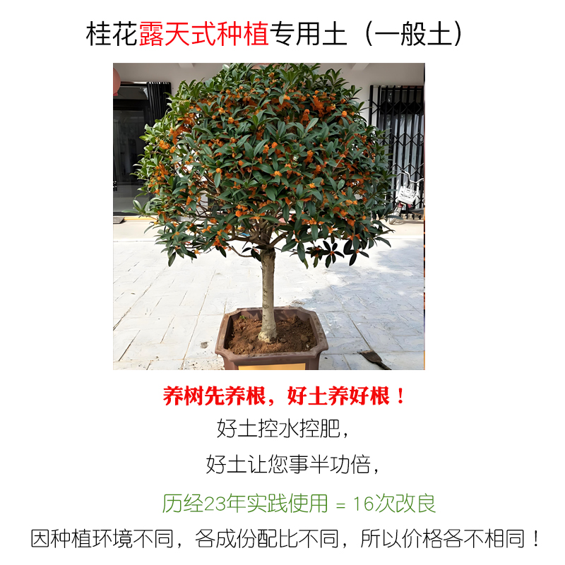 露天种植9.5斤桂花盆栽专用种植土南方花卉盆景酸性土养花通用