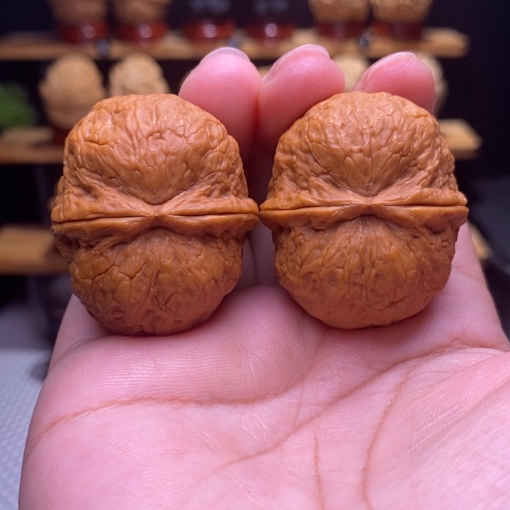 木质类云铁保山化石7号39尺