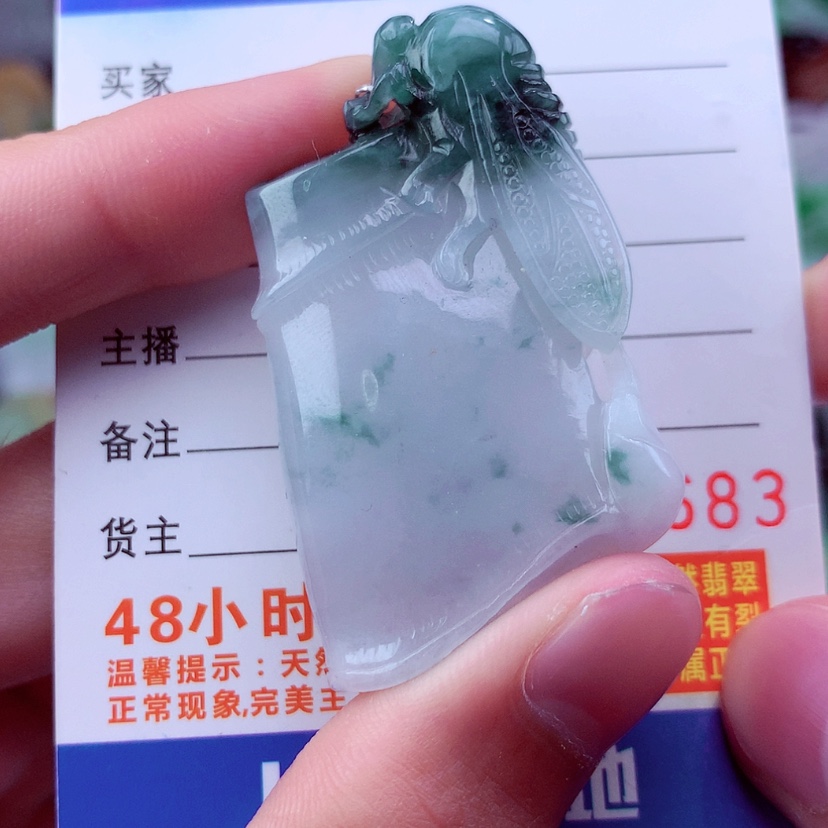 【闪购商品】翡翠颈饰未镶嵌挂件