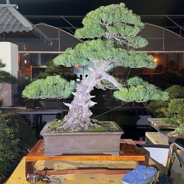 完全开放3500不包邮