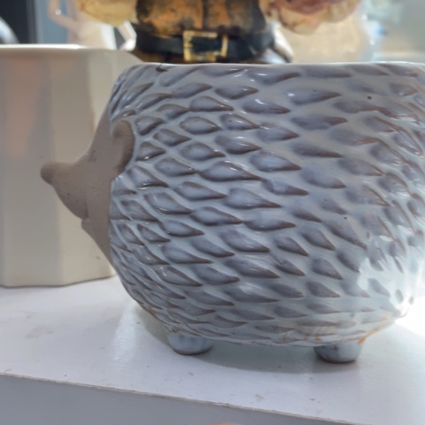 【闪购商品】罐摆件摆件摆件摆件摆件不