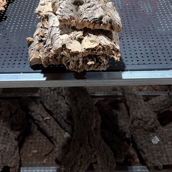 N***O完全开放一物一拍一物一发