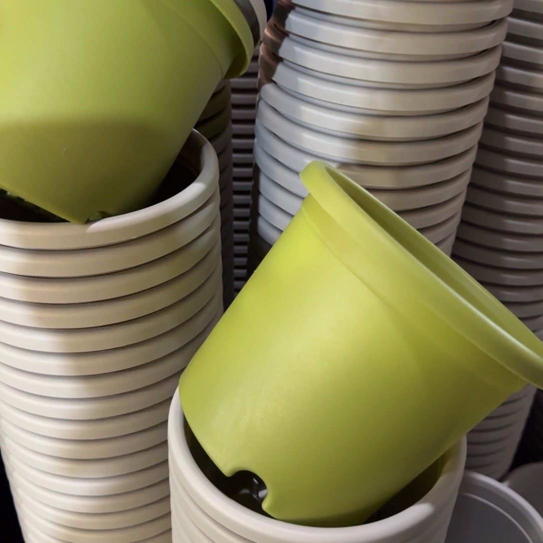 树脂特价2#无拖果绿13个