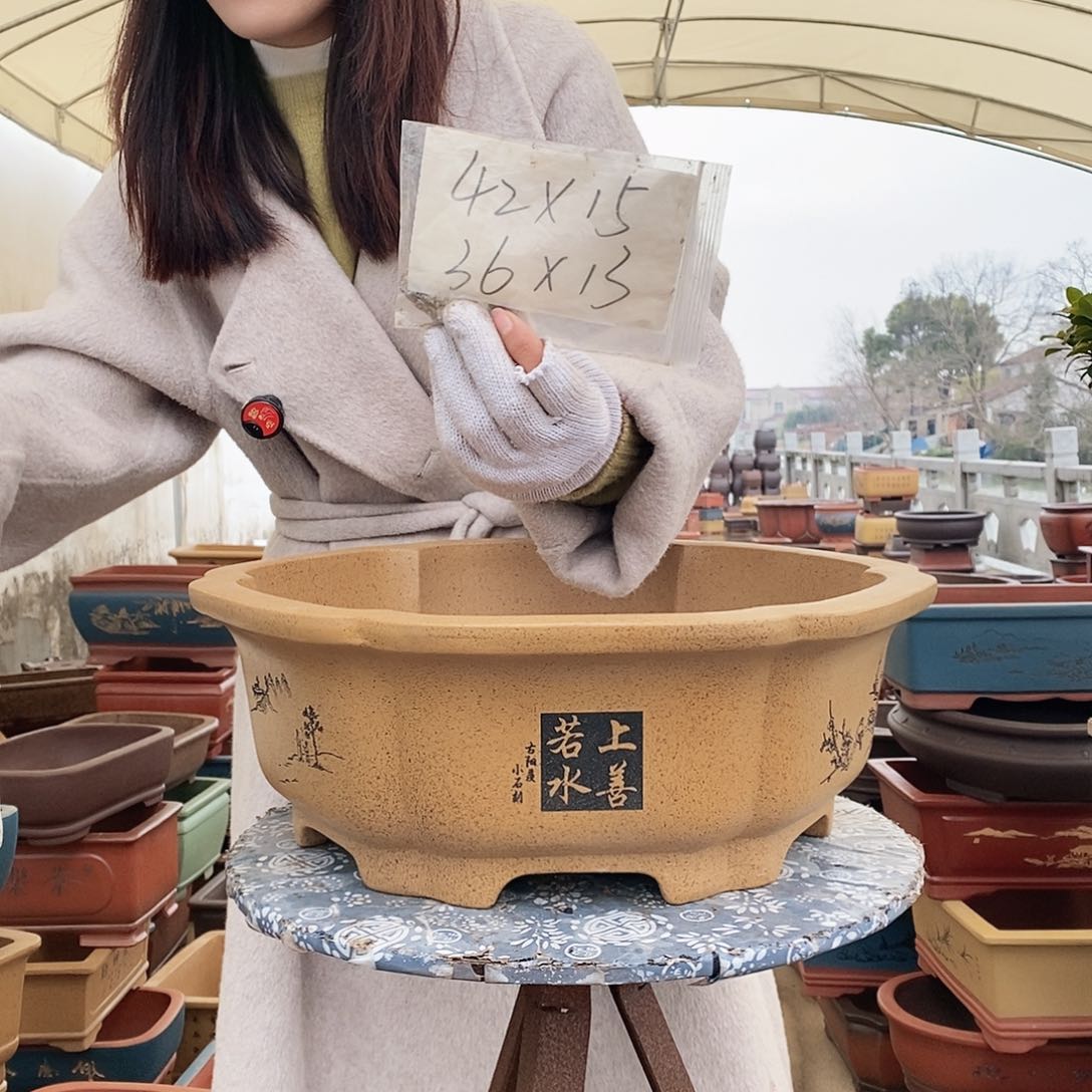 紫砂花盆紫砂花盆