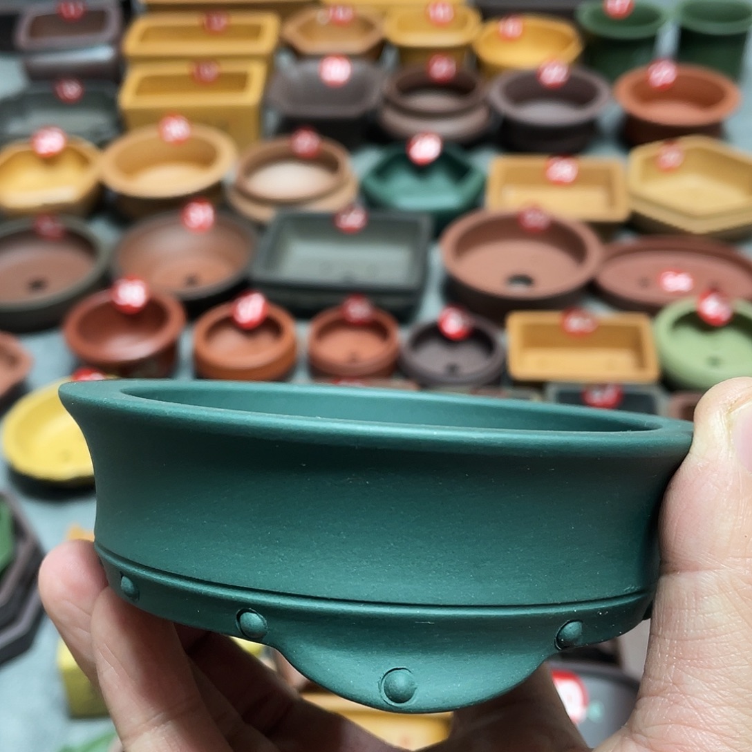 紫砂小盆9.5*2.5cmmmm