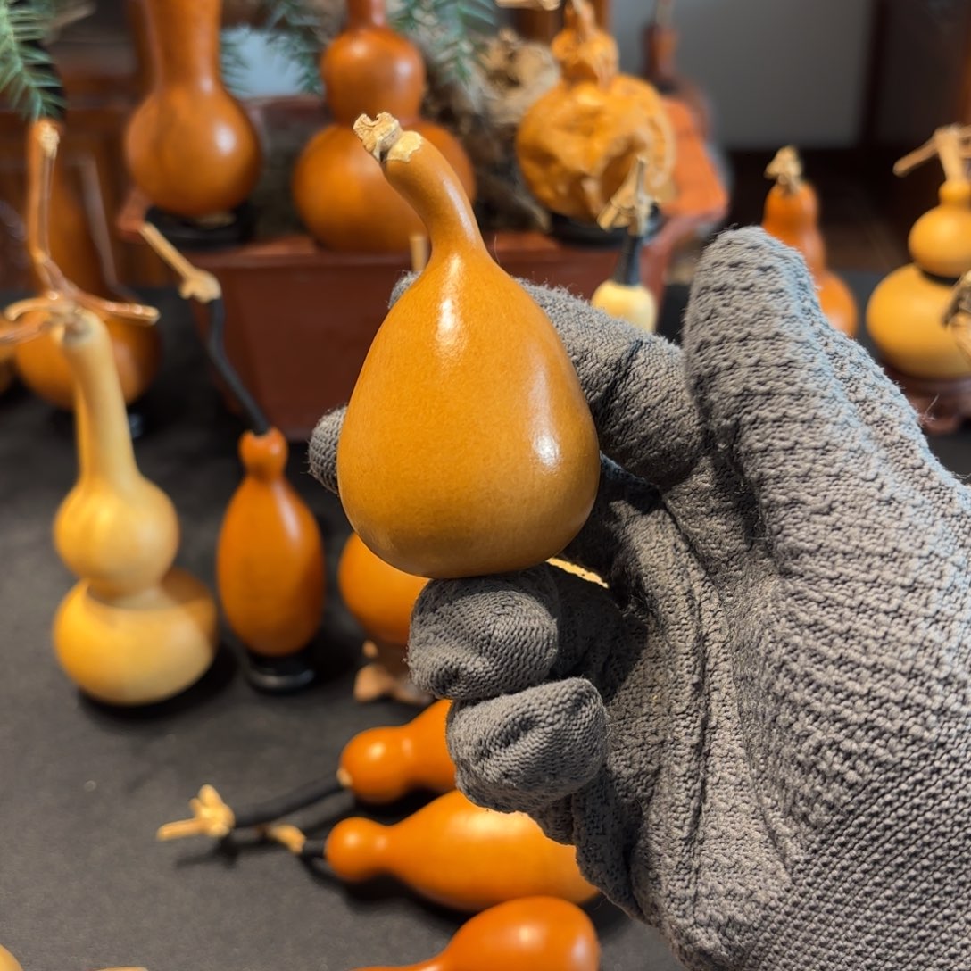 野***草葫芦88888888888888