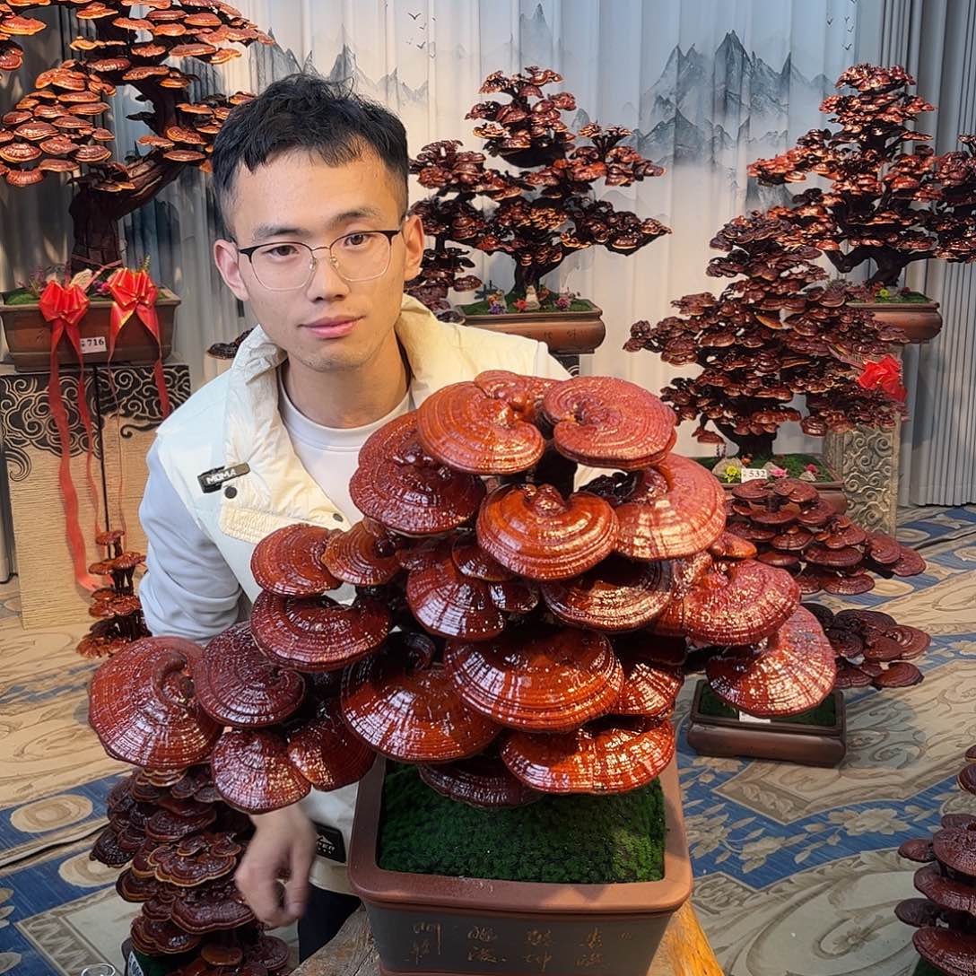 罗***丽无花朵888888888988