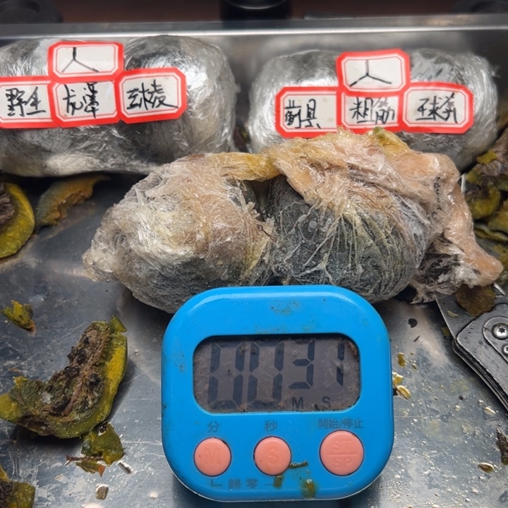 清***月文玩核桃555555555