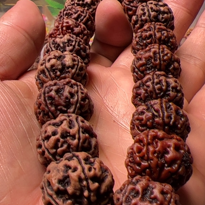 金刚菩提手串19➕安娜刚蛋