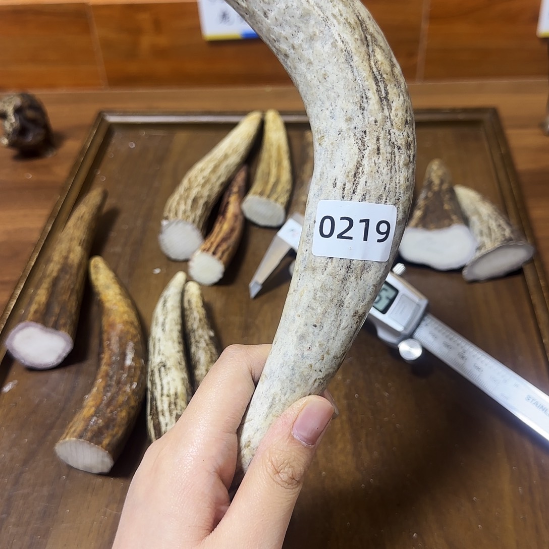 手串/手链鹿骨0219 角尖