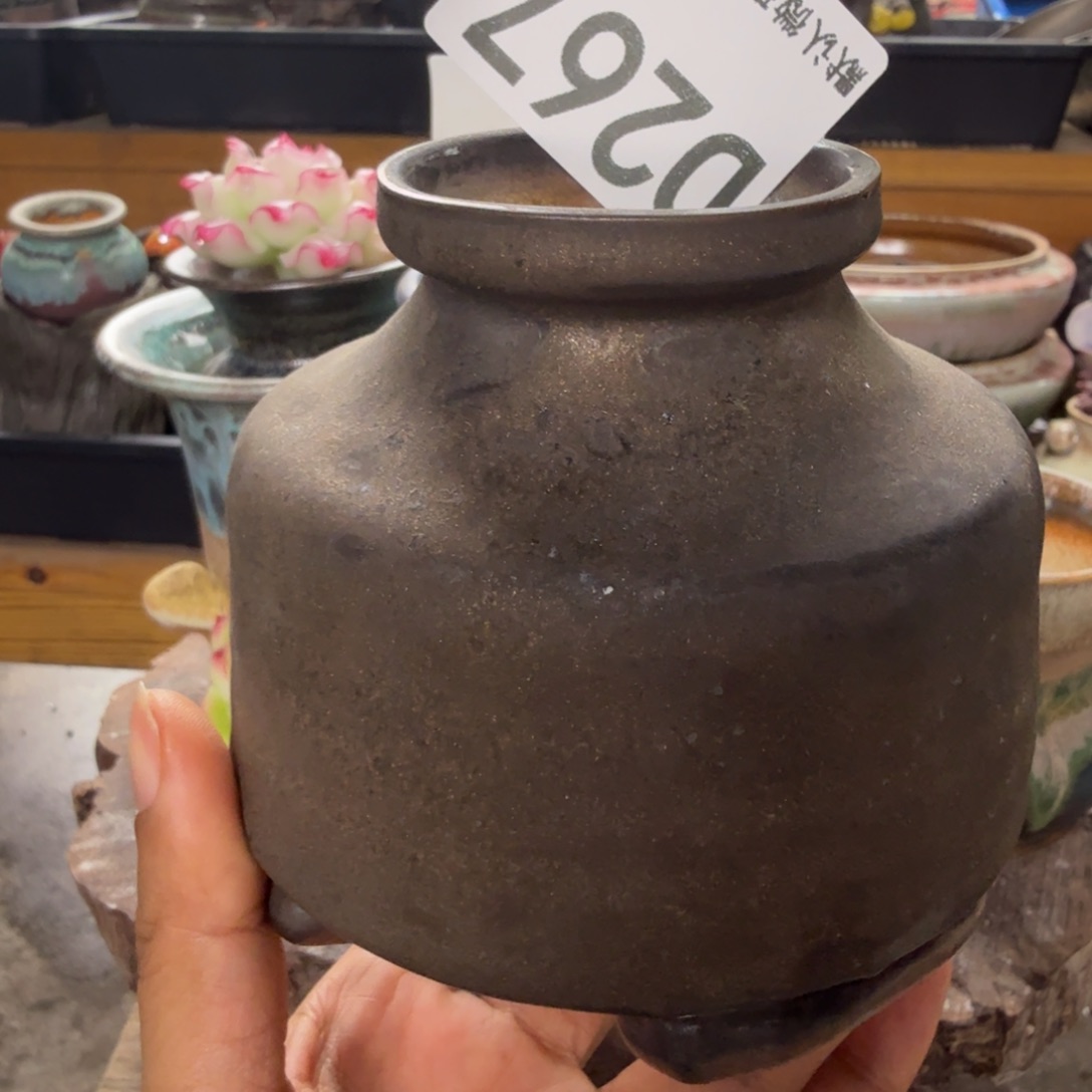 重庆小燕子欢迎大家267