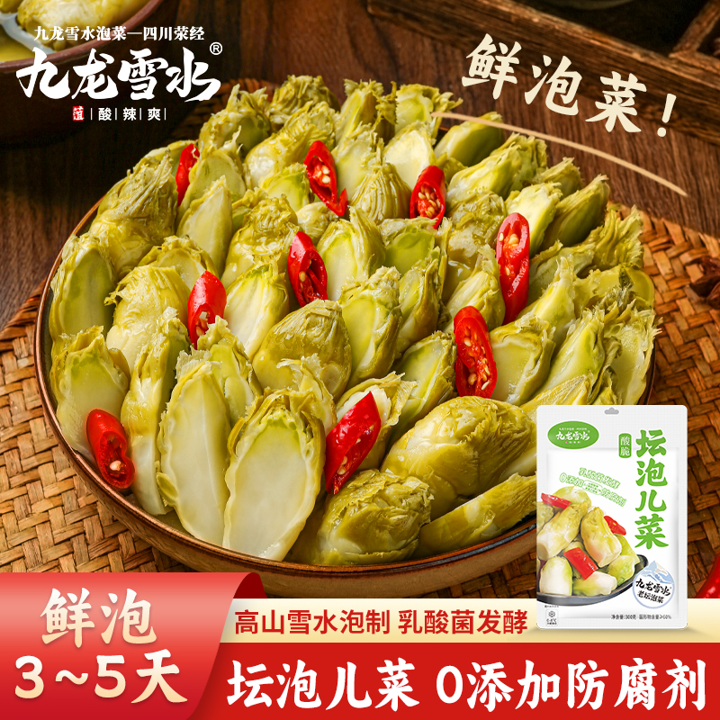 九龙雪水鲜泡儿菜 四川传统酸辣脆爽泡儿菜老坛泡菜芥菜娃娃菜