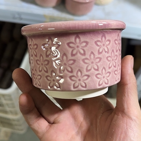 ·当场直播凑15元发·慎拍·6041