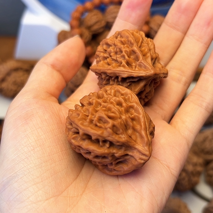 好*生秦岭山脉的形成过程5