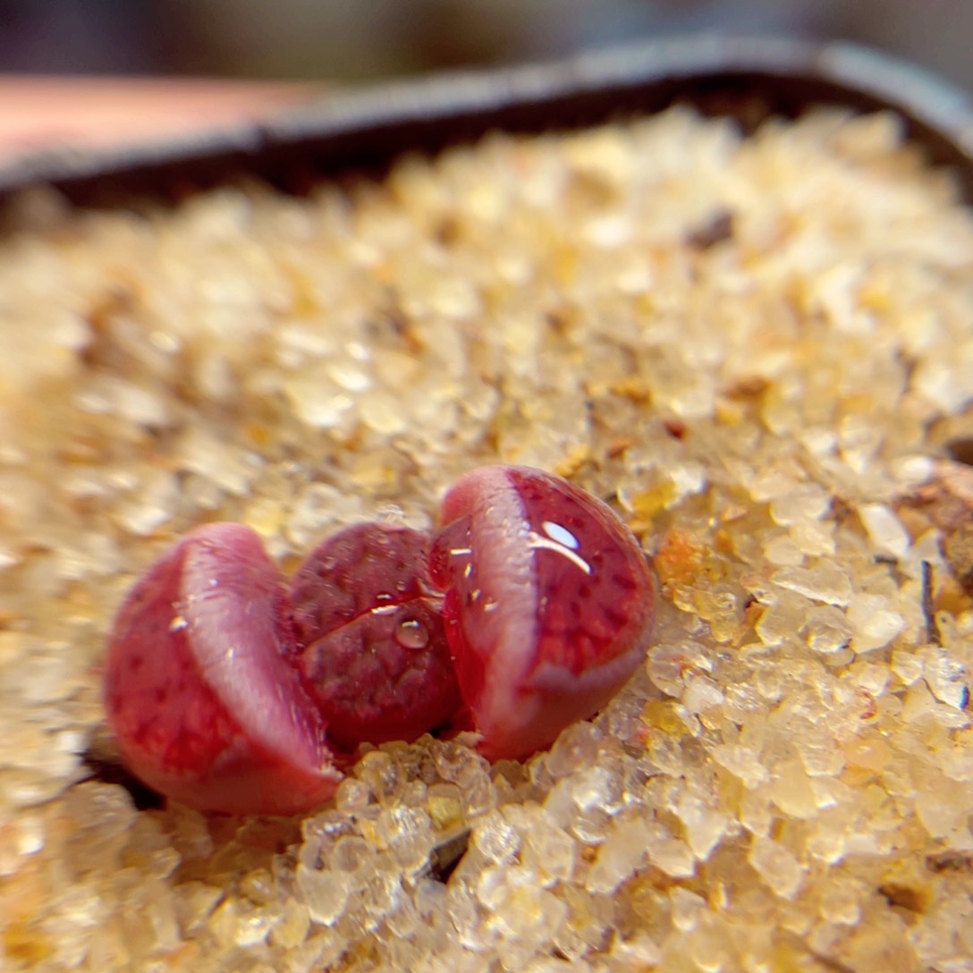 437。88888888888858