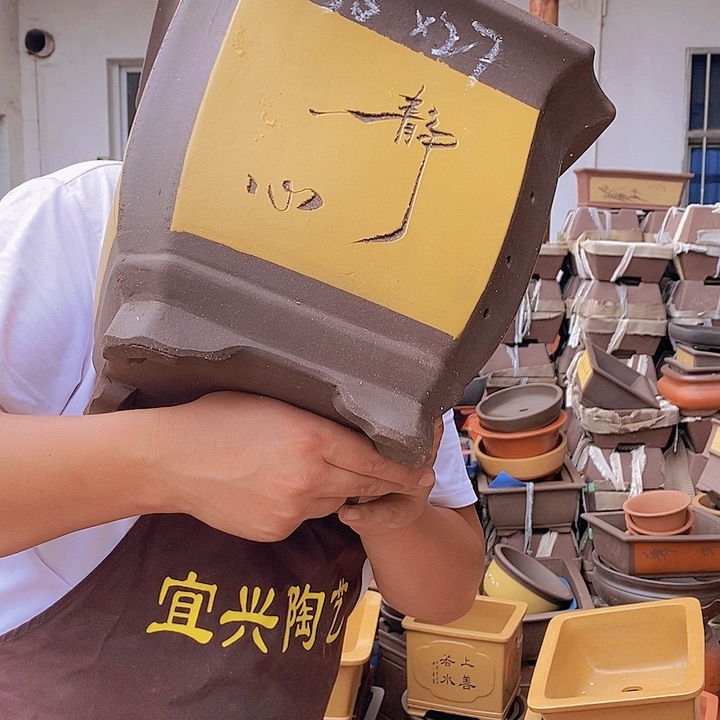 紫砂花盆紫砂花盆