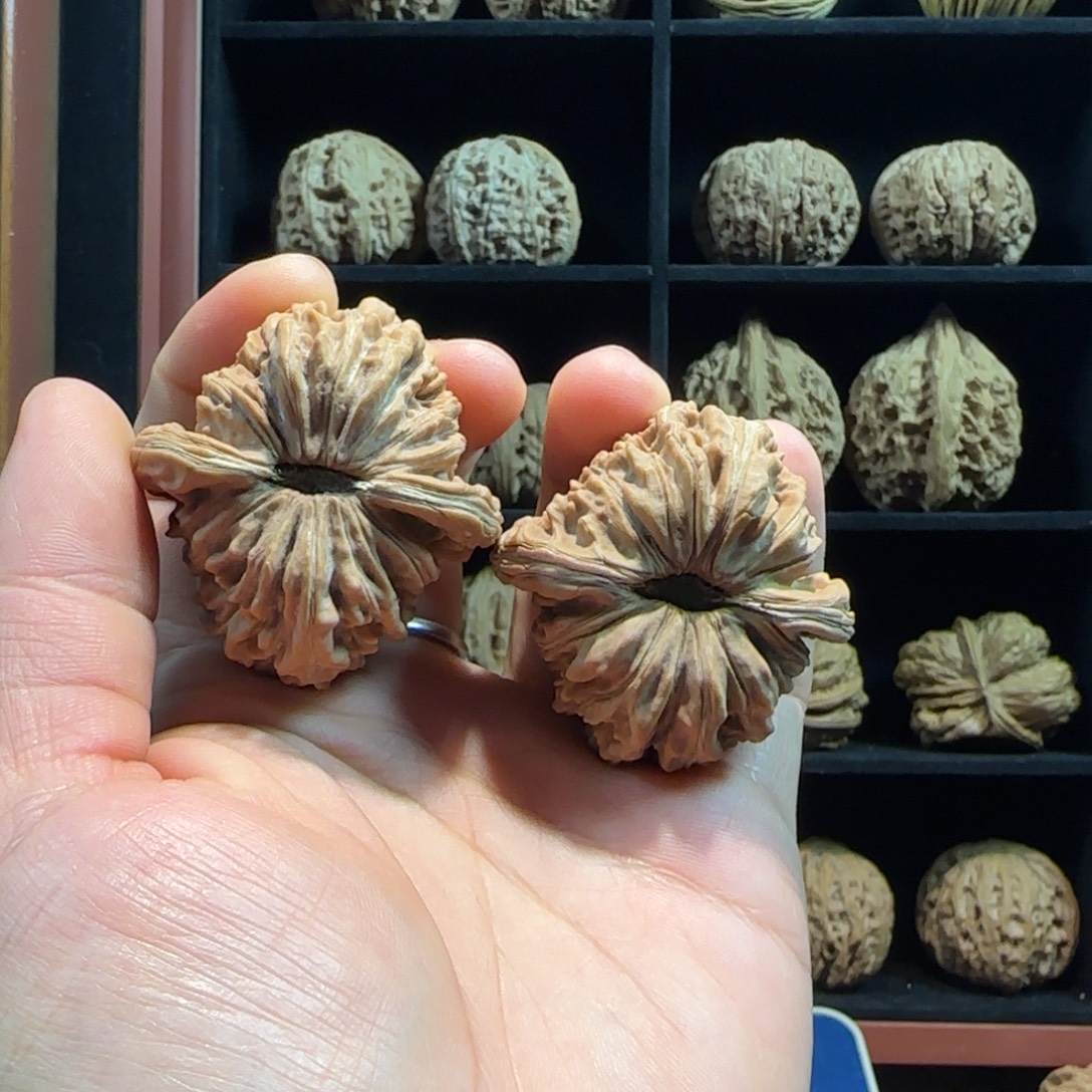 今***些桃核吊坠四座楼264416