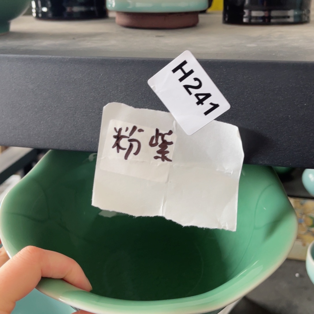 碗出h哈哈哈哈哈哈哈哈哈哈