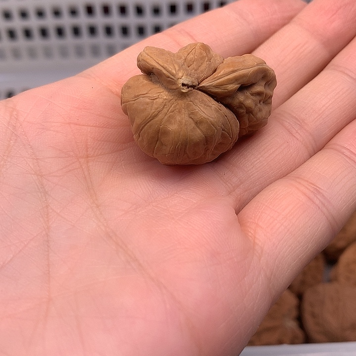 大***鱼吊坠文玩核桃文玩核桃