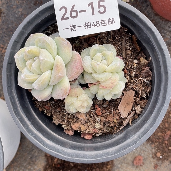 ****゛你在干嘛呢我在外面等你