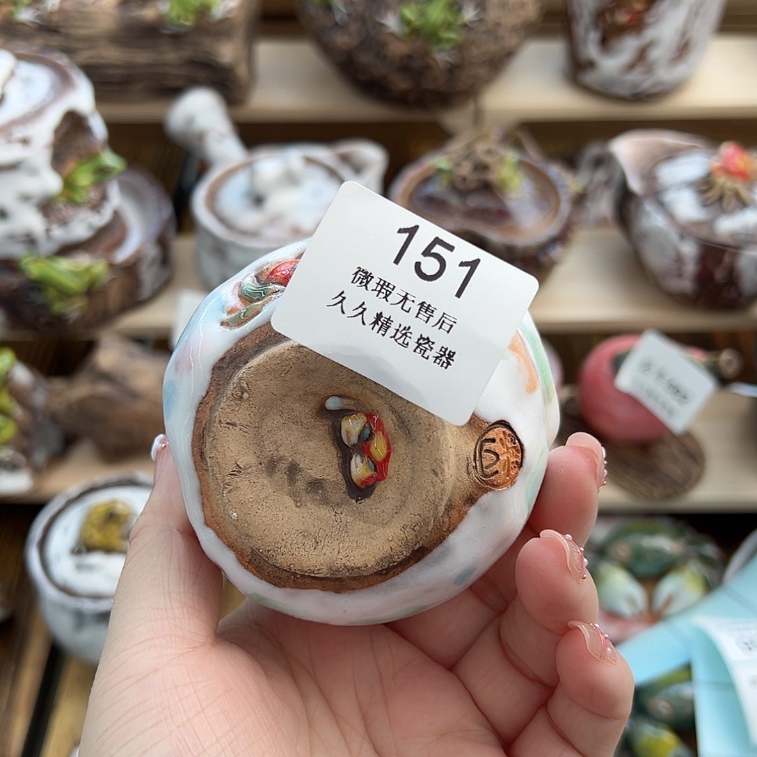 闪购久久家的瓷器