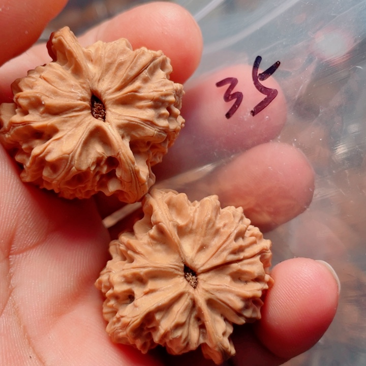 小***魏桃核手串野生千年鸡