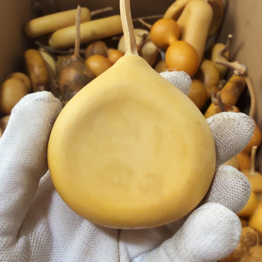 W****请确认好在下单  6