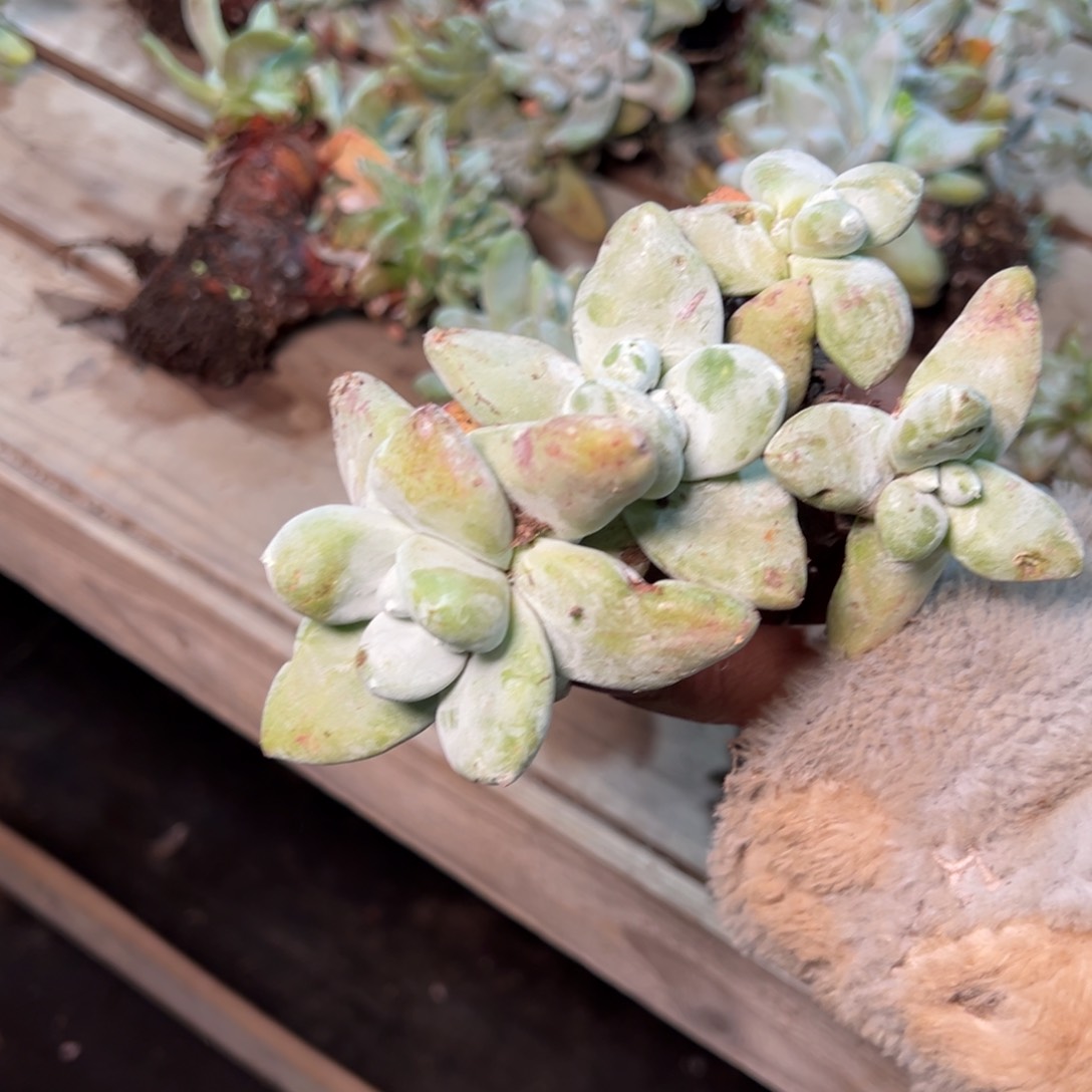 727哈哈哈哈哈哈哈哈